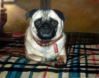 Pet Oil Portrait